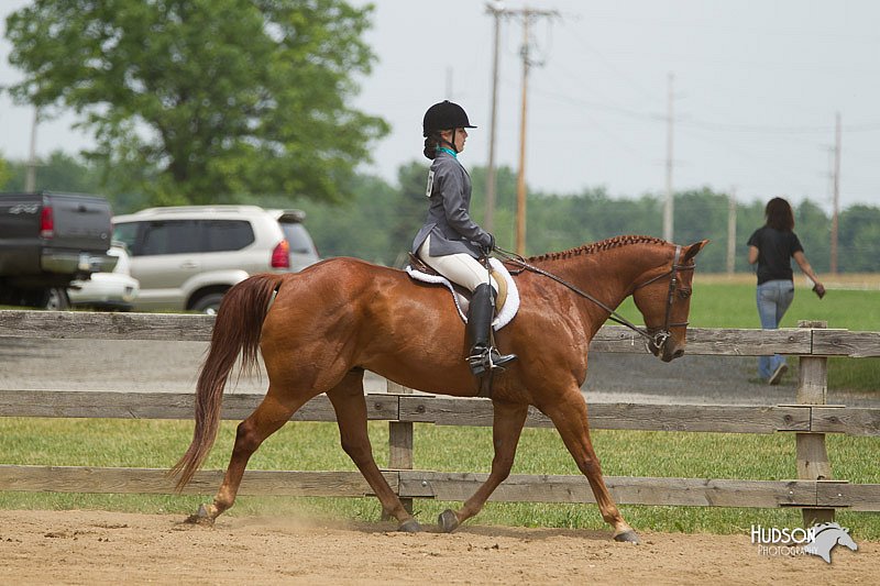 4H-Fun-Show-11_0490.jpg