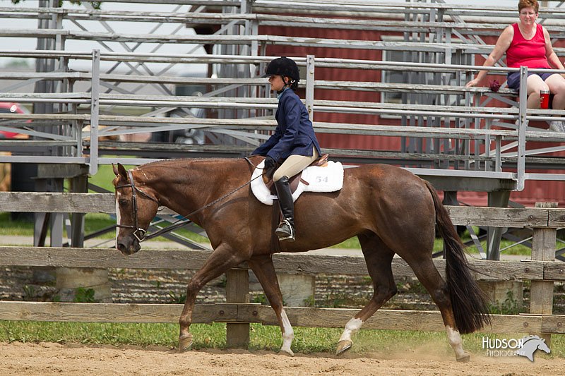 4H-Fun-Show-11_0493.jpg