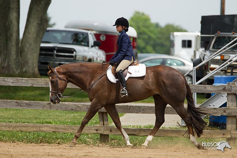 4H-Fun-Show-11_0494.jpg