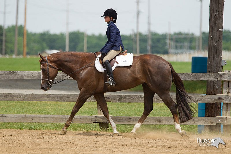 4H-Fun-Show-11_0495.jpg