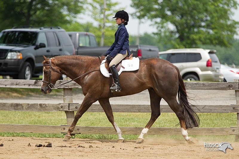 4H-Fun-Show-11_0496.jpg