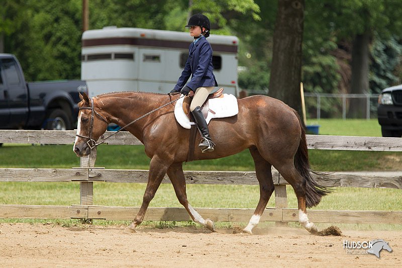 4H-Fun-Show-11_0497.jpg