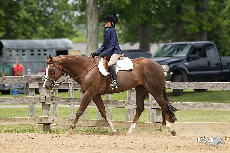4H-Fun-Show-11_0498.jpg