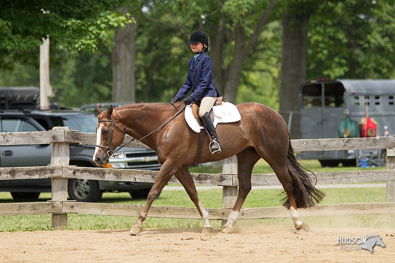 4H-Fun-Show-11_0499.jpg