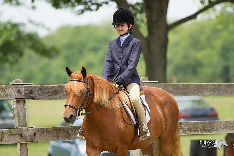 4H-Fun-Show-11_0521.jpg