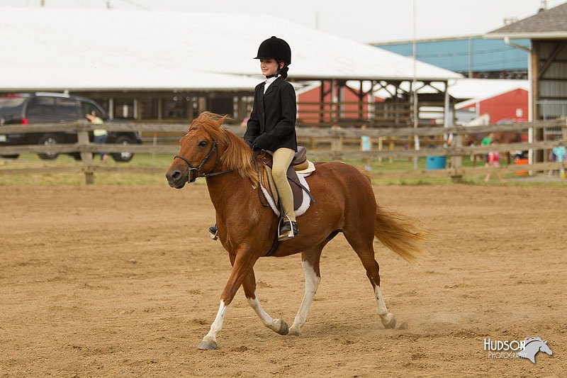4H-Fun-Show-11_1009.jpg