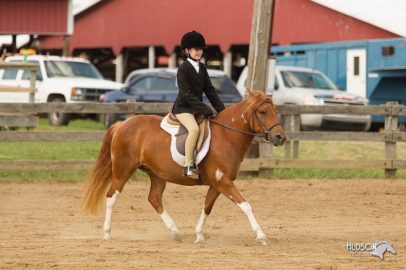 4H-Fun-Show-11_1010.jpg