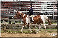 4H-Fun-Show-11_0419.jpg