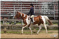 4H-Fun-Show-11_0419.jpg