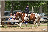 4H-Fun-Show-11_0432.jpg