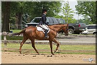 4H-Fun-Show-11_0458.jpg