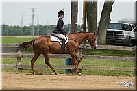 4H-Fun-Show-11_0459.jpg