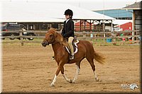 4H-Fun-Show-11_1009.jpg