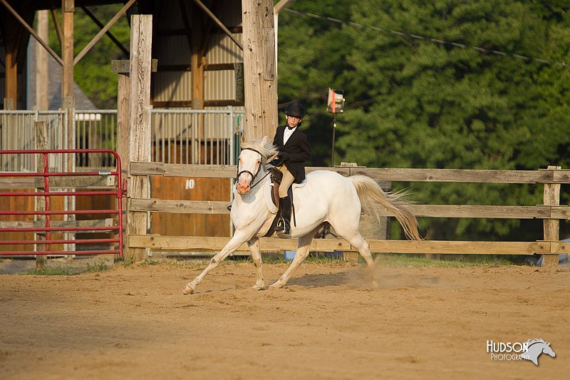 4H-Fun-Show-11_1503.jpg