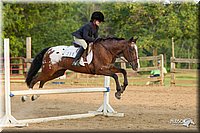 4H-Fun-Show-11_1499.jpg