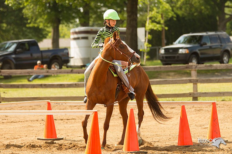 4H-Fun-Show-11_1065.jpg