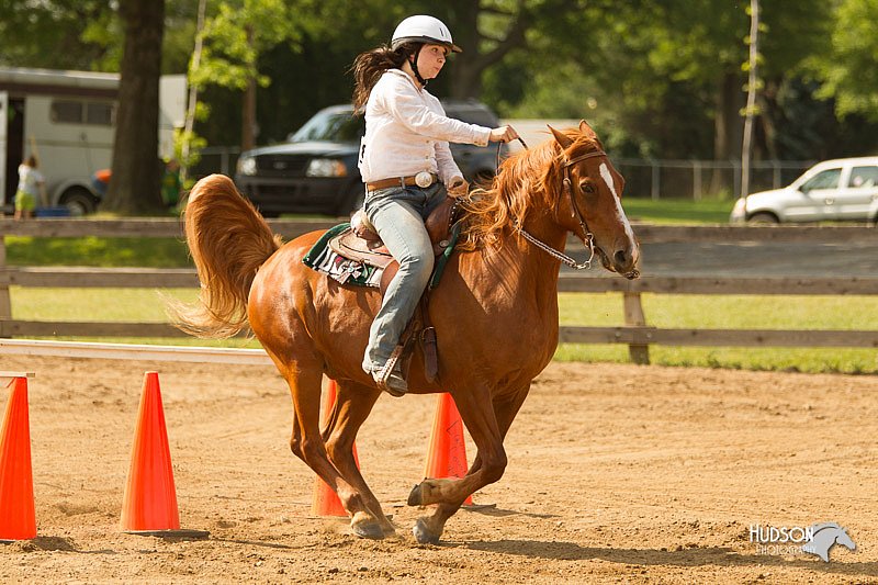 4H-Fun-Show-11_1084.jpg