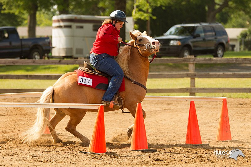 4H-Fun-Show-11_1109.jpg