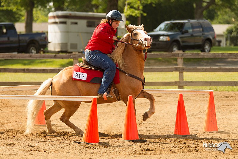 4H-Fun-Show-11_1110.jpg