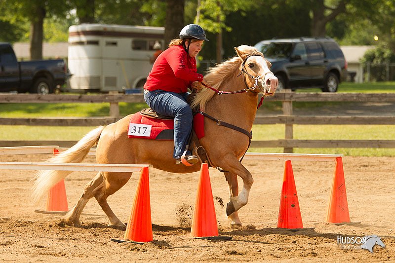4H-Fun-Show-11_1111.jpg