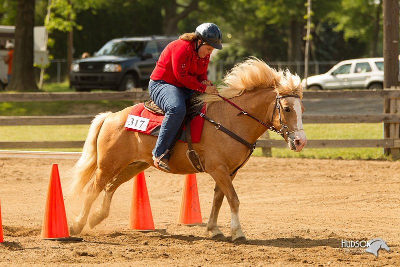 4H-Fun-Show-11_1114.jpg