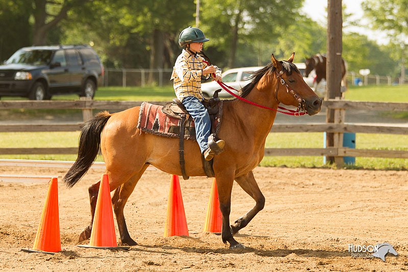 4H-Fun-Show-11_1164.jpg