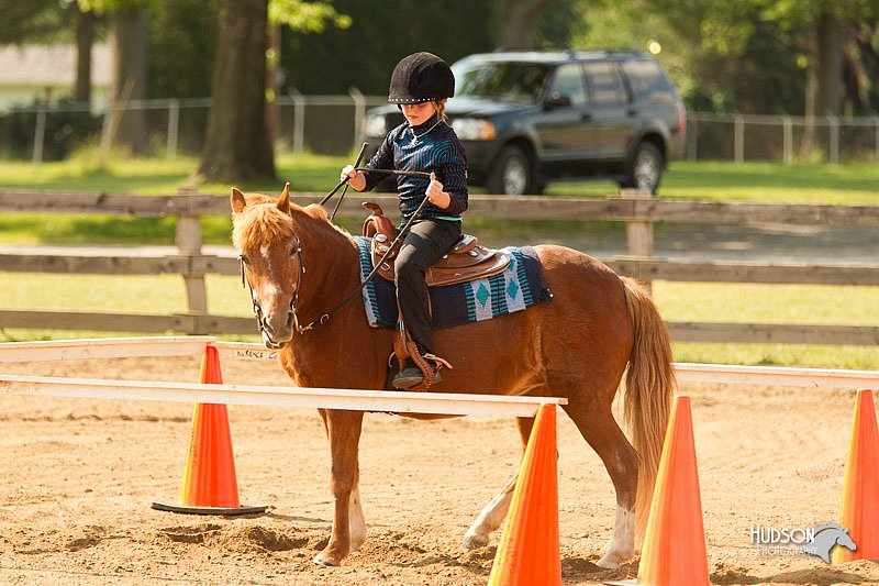 4H-Fun-Show-11_1174.jpg