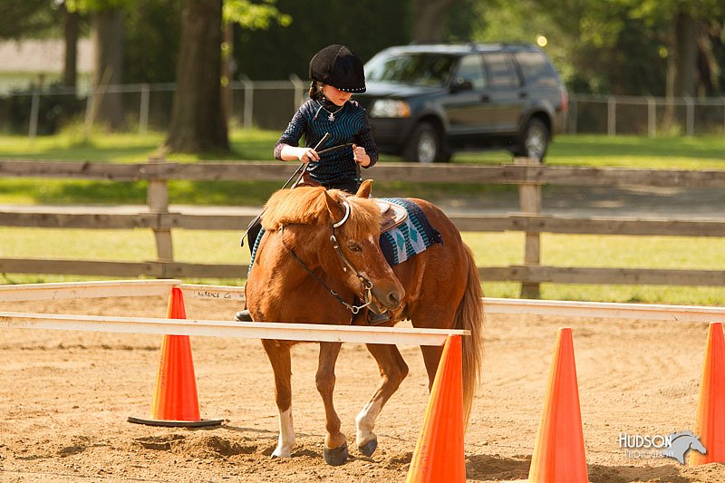 4H-Fun-Show-11_1175.jpg