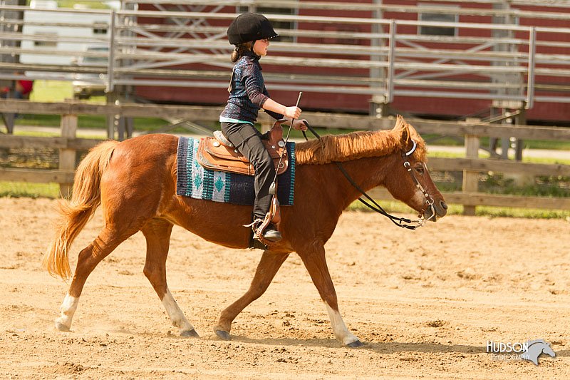 4H-Fun-Show-11_1180.jpg