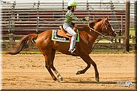 4H-Fun-Show-11_1068.jpg