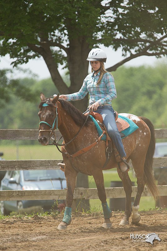 4H-Fun-Show-11_0796.jpg
