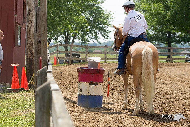 4H-Fun-Show-11_0898.jpg