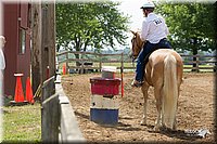 4H-Fun-Show-11_0897.jpg