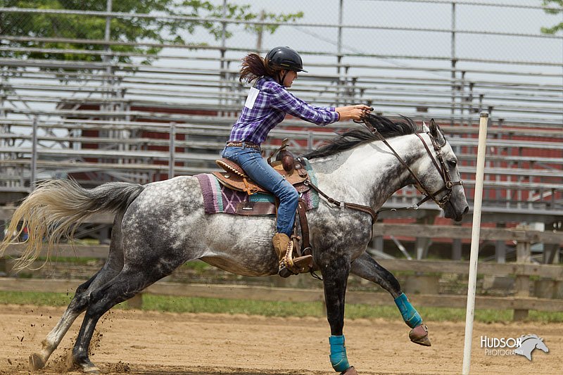 4H-Fun-Show-11_0646.jpg