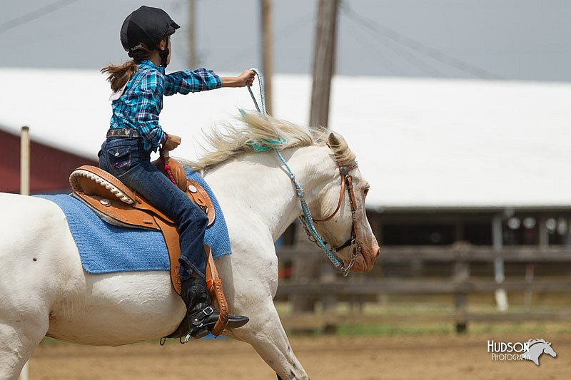 4H-Fun-Show-11_0738.jpg