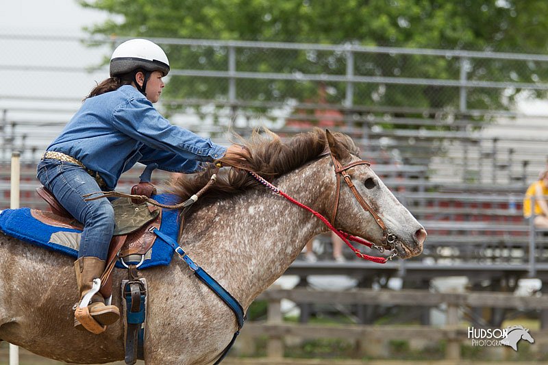 4H-Fun-Show-11_0765.jpg