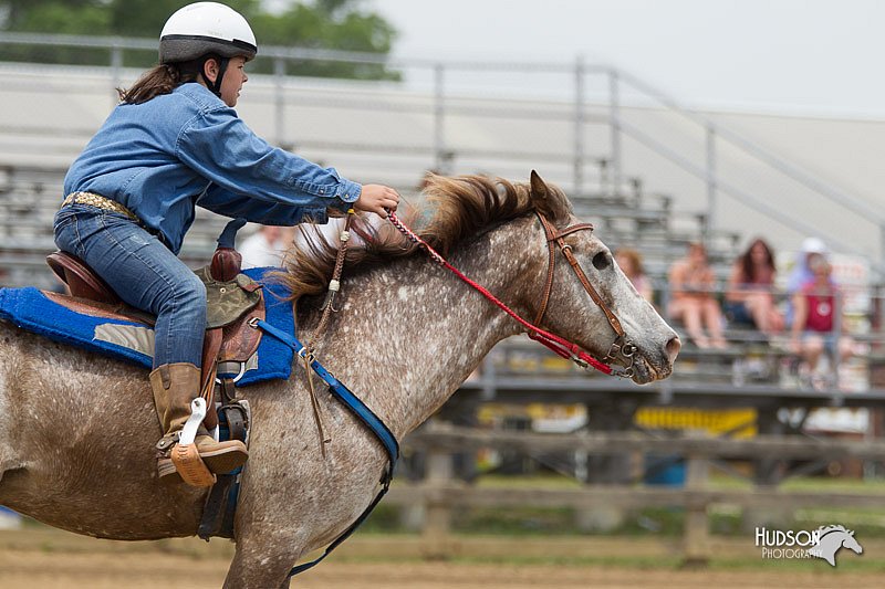 4H-Fun-Show-11_0766.jpg