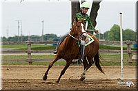 4H-Fun-Show-11_0650.jpg