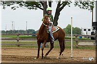 4H-Fun-Show-11_0652.jpg