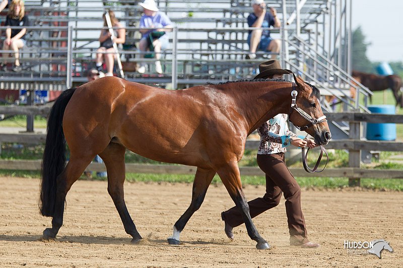 4H-Fun-Show-11_0004.jpg