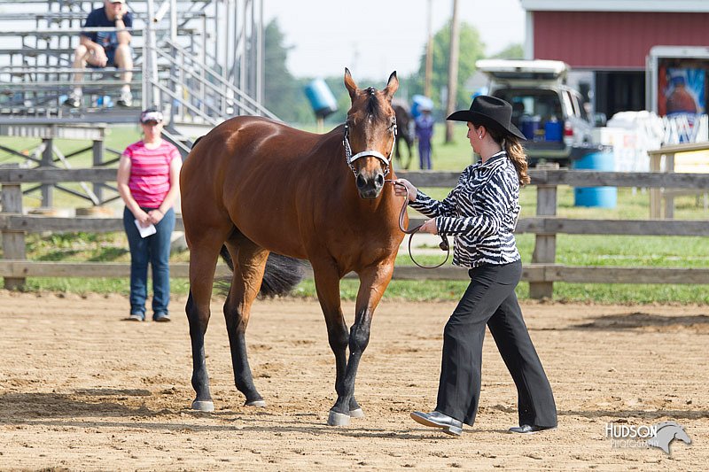 4H-Fun-Show-11_0018.jpg