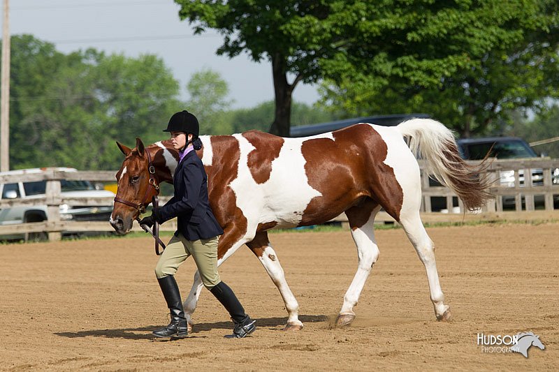 4H-Fun-Show-11_0019.jpg