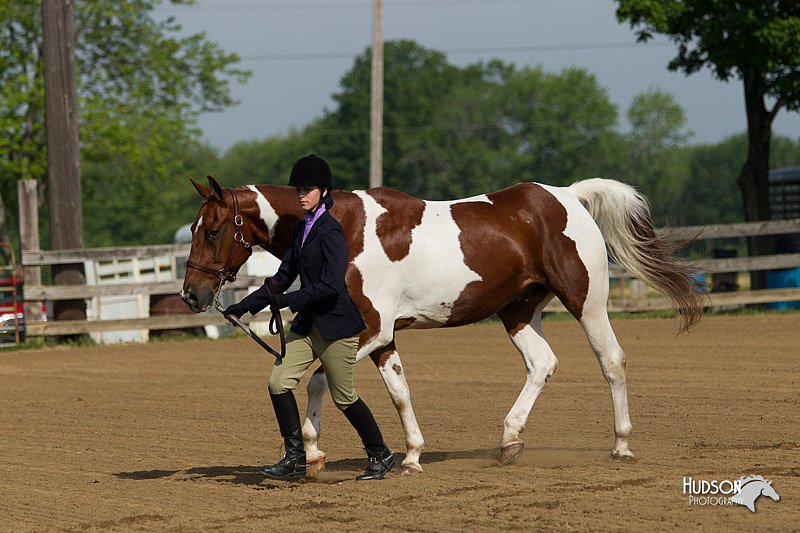4H-Fun-Show-11_0020.jpg