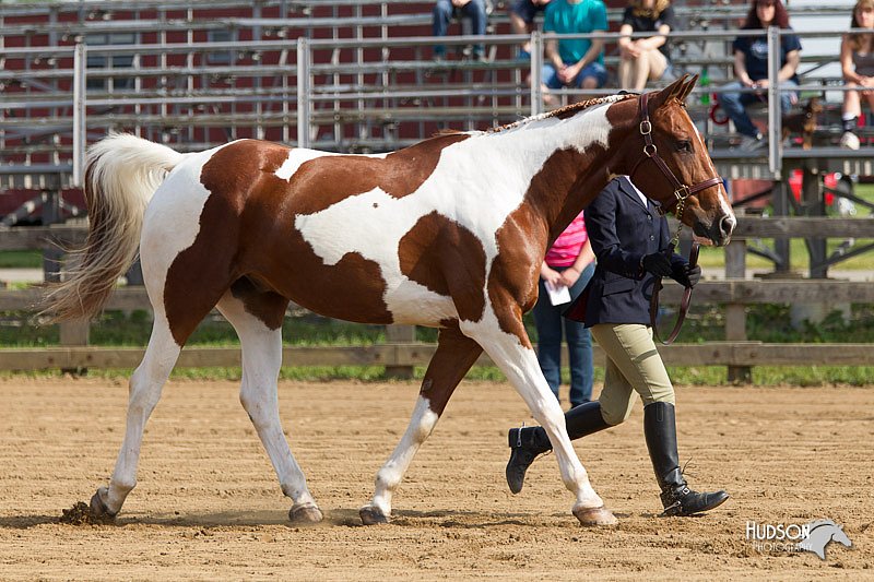 4H-Fun-Show-11_0023.jpg