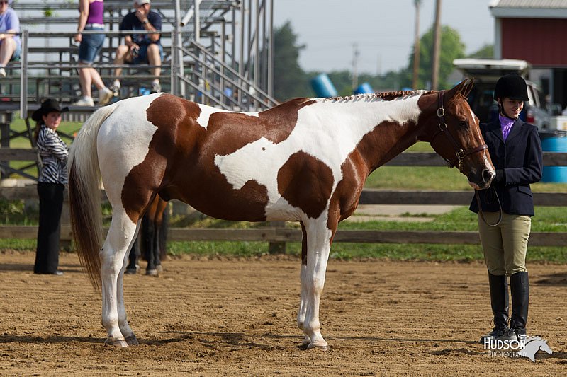 4H-Fun-Show-11_0025.jpg