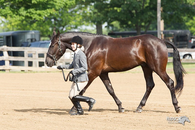 4H-Fun-Show-11_0027.jpg
