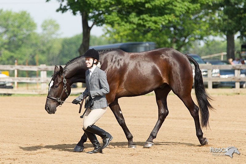 4H-Fun-Show-11_0028.jpg