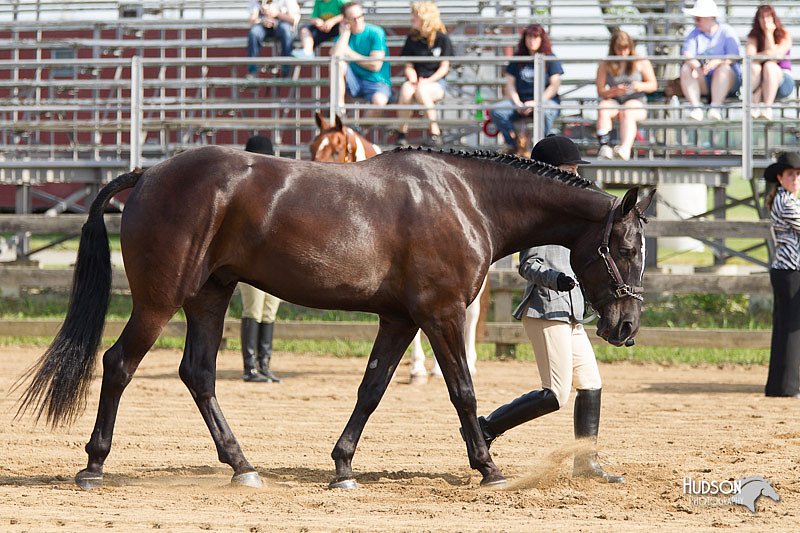 4H-Fun-Show-11_0032.jpg