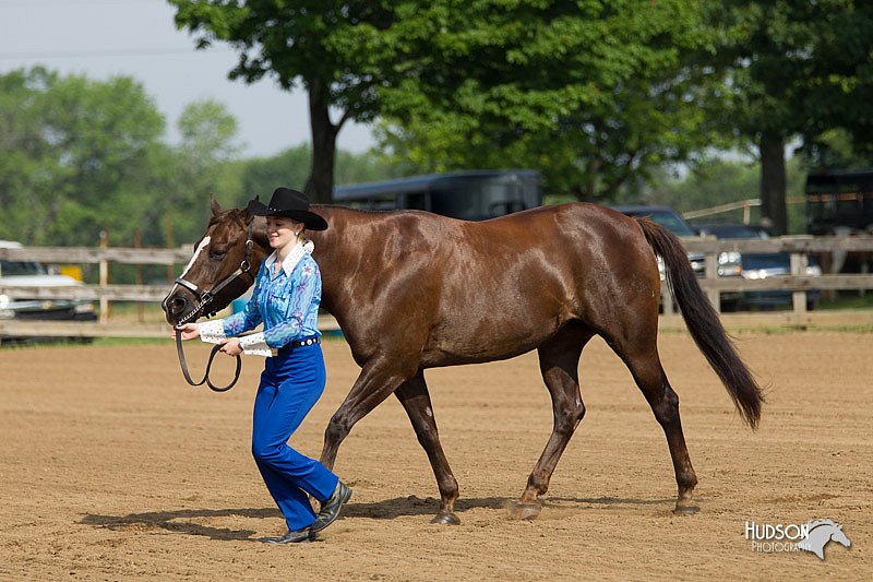 4H-Fun-Show-11_0034.jpg