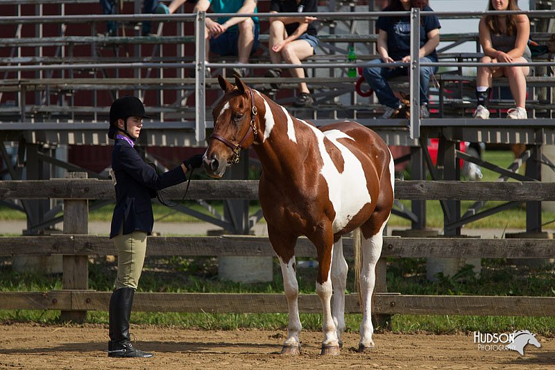 4H-Fun-Show-11_0035.jpg